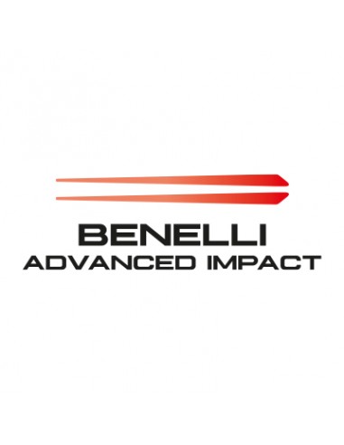 Benelli Raffaello Limited Edition Cal Fucile Semiautomatico A