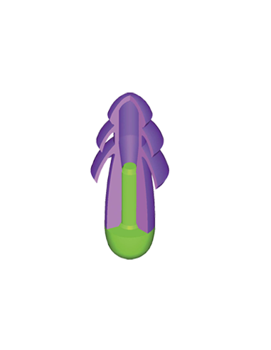 Tappi Auricolari Rocket Corda Silicone Tappi Auricolari Rocket Corda Silicone
