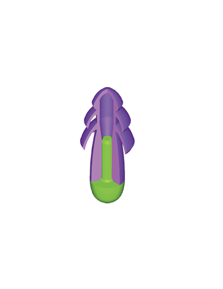 Tappi Auricolari Rocket Corda Silicone Tappi Auricolari Rocket Corda Silicone