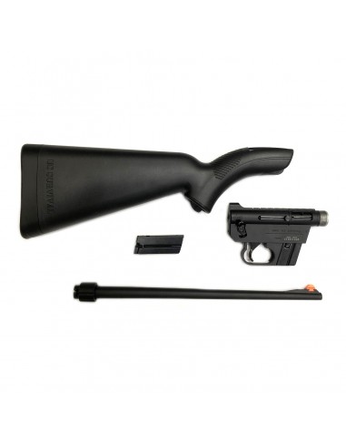 Henry U.S. Survival 22 LR Henry U.S. Survival 22 LR