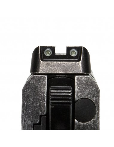 Sig Sauer 1911 WT People Cal. 45 ACP