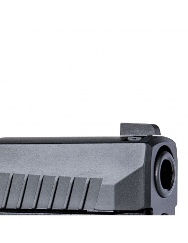 Sig Sauer P320 X Carry 9x21