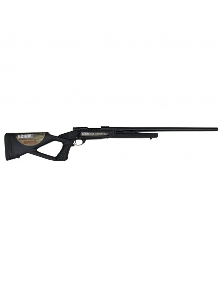 Howa Blackhawk 308 Winchester Howa Blackhawk 308 Winchester