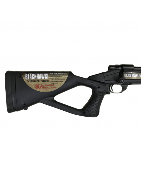 Howa Blackhawk 308 Winchester Howa Blackhawk 308 Winchester
