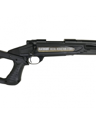 Howa Blackhawk 308 Winchester Howa Blackhawk 308 Winchester