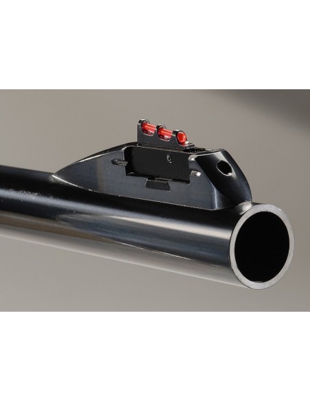 Benelli Raffaello Slug 20