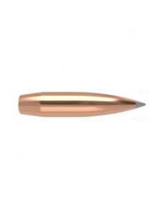 NOSLER PALLE ACCUBOND LR 338" 265 GR SP 100PZ