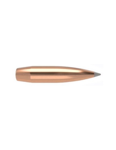 NOSLER PALLE ACCUBOND LR 338" 265 GR SP 100PZ NOSLER PALLE ACCUBOND LR 338" 265 GR SP 100PZ