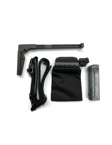 Bernardelli 69 22 LR