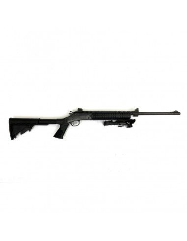 A. Rossi Pumba Swat Cal. 243 Winchester
