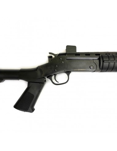 A. Rossi Pumba Swat Cal. 243 Winchester