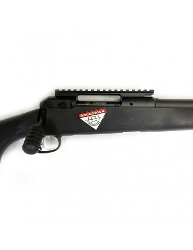 Savage 10 Cal. 308 Winchester Savage 10 Cal. 308 Winchester