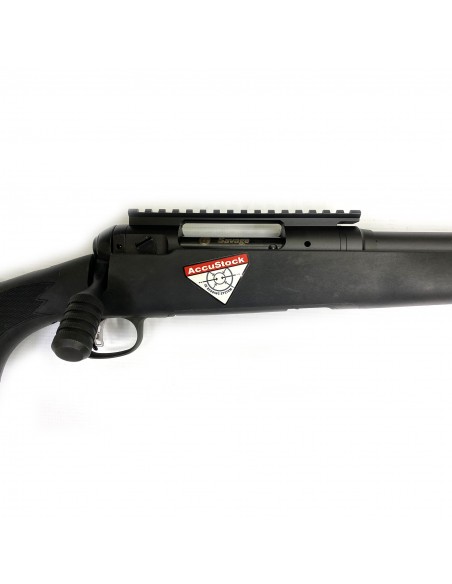 Savage 10 Cal. 308 Winchester Savage 10 Cal. 308 Winchester