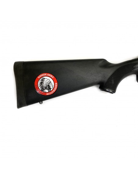 Savage 10 Cal. 308 Winchester Savage 10 Cal. 308 Winchester