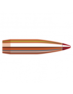 HORNADY PALLE ELD-X 6 mm 243" 90 GR 100PZ