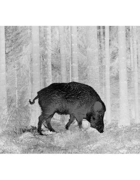 PULSAR THERMION XQ50 CANNOCCHIALE TERMICO