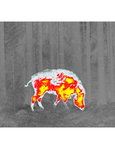 PULSAR THERMION XQ50 CANNOCCHIALE TERMICO