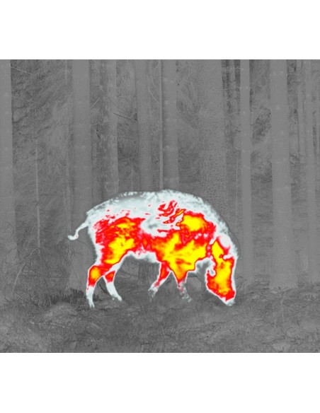 PULSAR THERMION XQ50 CANNOCCHIALE TERMICO