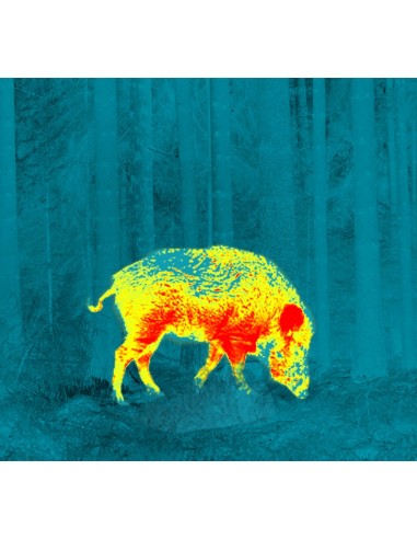 PULSAR THERMION XQ50 CANNOCCHIALE TERMICO