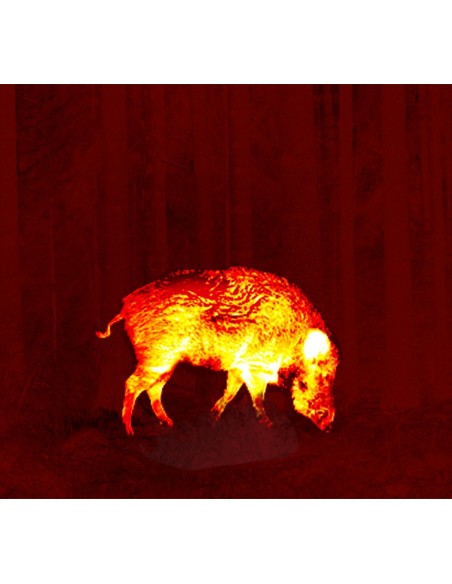 PULSAR THERMION XQ50 CANNOCCHIALE TERMICO