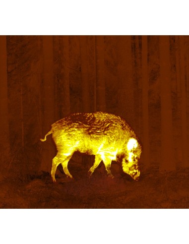 PULSAR THERMION XQ50 CANNOCCHIALE TERMICO