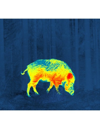 PULSAR THERMION XQ50 CANNOCCHIALE TERMICO