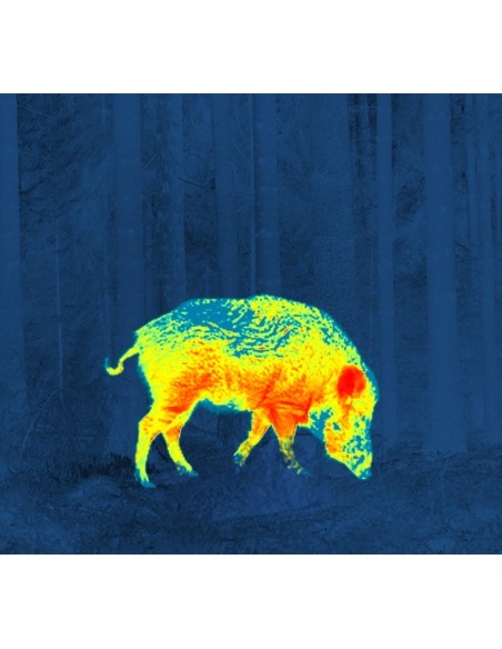 PULSAR THERMION XQ50 CANNOCCHIALE TERMICO