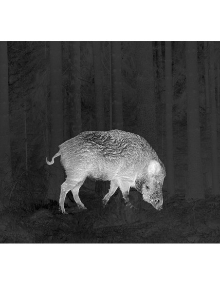 PULSAR THERMION XQ50 CANNOCCHIALE TERMICO