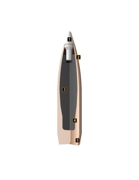 NOSLER PALLE ACCUBOND LR 308" 210 GR SP 100PZ NOSLER PALLE ACCUBOND LR 308" 210 GR SP 100PZ