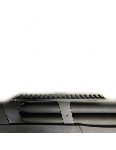 Weihrauch HW77 4,5mm