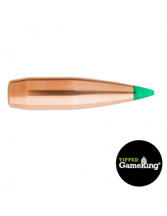 SIERRA PALLE 243" 90GR TIPPED GAMEKING 100PZ.