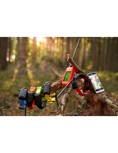 DOG TRACE X30T KIT PALMARE E COLLARE GPS