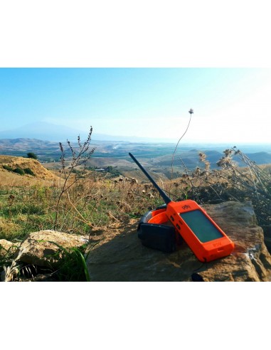 DOG TRACE X30T KIT HANDHELD SCREEN AND GPS COLLAR