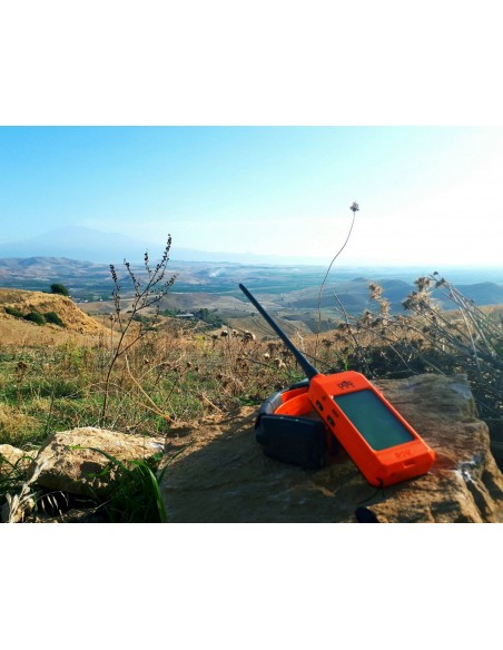 DOG TRACE X30T KIT HANDHELD SCREEN AND GPS COLLAR
