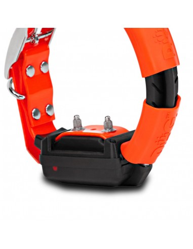 DOG TRACE X30T KIT PALMARE E COLLARE GPS