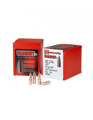 HORNADY PALLE BTHP 243" 87GR 100PZ.
