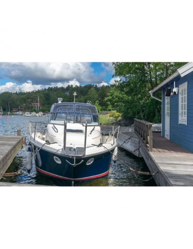 REOLINK FOTOCAMERA GO PT 1080P CON PANNELLO SOLARE