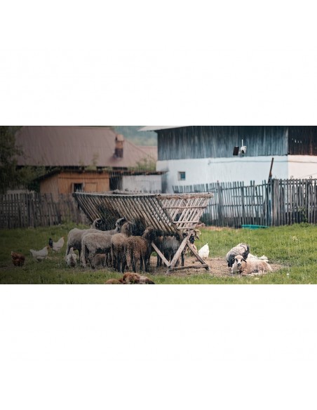 REOLINK FOTOCAMERA GO PT 1080P CON PANNELLO SOLARE