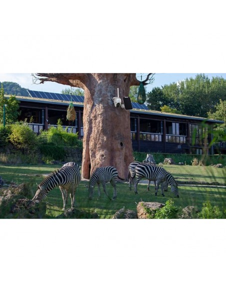 REOLINK FOTOCAMERA GO PT 1080P CON PANNELLO SOLARE