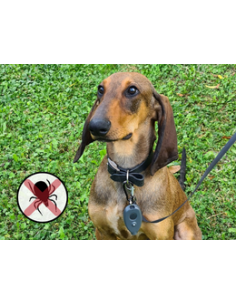MY PROTECTION ANTI ZECCHE... 2