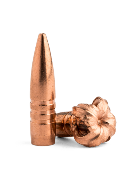 BARNES BULLETS TSX FB 22 (.224) 55 GR 50PZ.