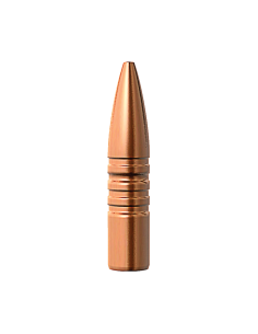 BARNES BULLETS TSX FB 30 (.308)  200 GR 50PZ.