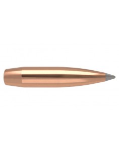 NOSLER PALLE 284" 175GR ACCUBOND LR SPITZER 100PZ.