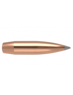 NOSLER PALLE 308" 210GR ACCUBOND LR SPITZER 100PZ.