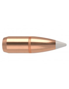 NOSLER PALLE 277" 100GR ACCUBOND SP 50PZ.