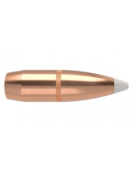 NOSLER PALLE 366" 250GR ACCUBOND SP 50PZ. NOSLER PALLE 366" 250GR ACCUBOND SP 50PZ.