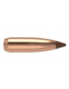 NOSLER PALLE 264" 100GR BALLISTIC TIP SP 50PZ.