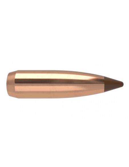 NOSLER PALLE 264" 100GR BALLISTIC TIP SP 50PZ. NOSLER PALLE 264" 100GR BALLISTIC TIP SP 50PZ.