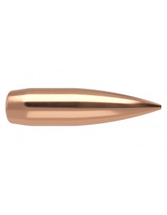 NOSLER PALLE 308" 168GR RDF HPBT 100PZ.