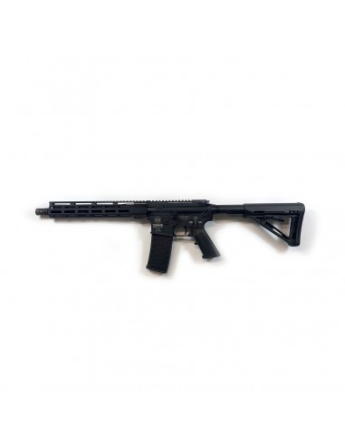 Carabina Semiautomatica Astra Arms VG4 Brutale Cal. 223 Remington Carabina Semiautomatica Astra Arms VG4 Brutale Cal. 223 Remington